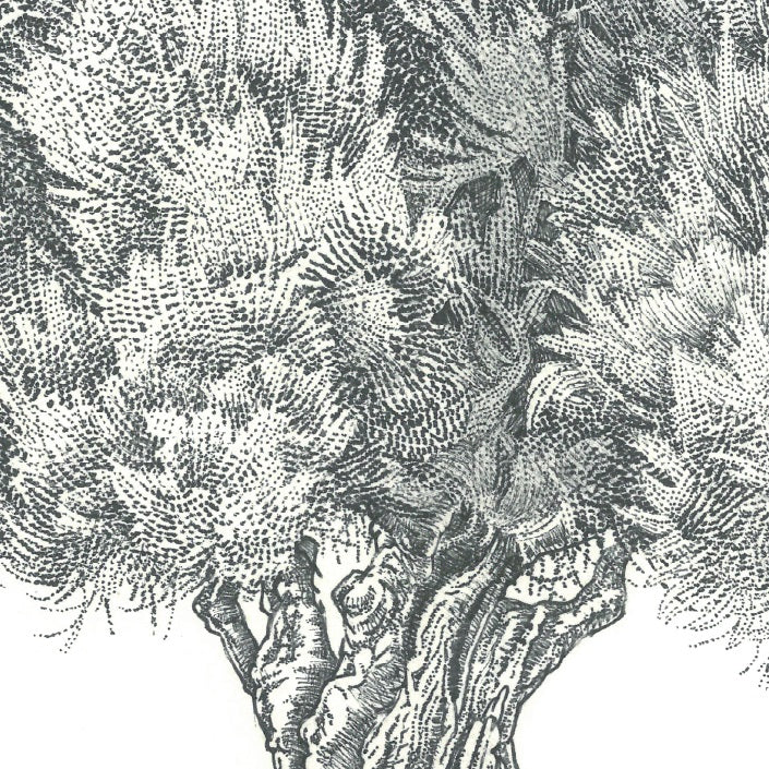 shop-professional-olive-tree-botanical-board-fashion_2.jpg
