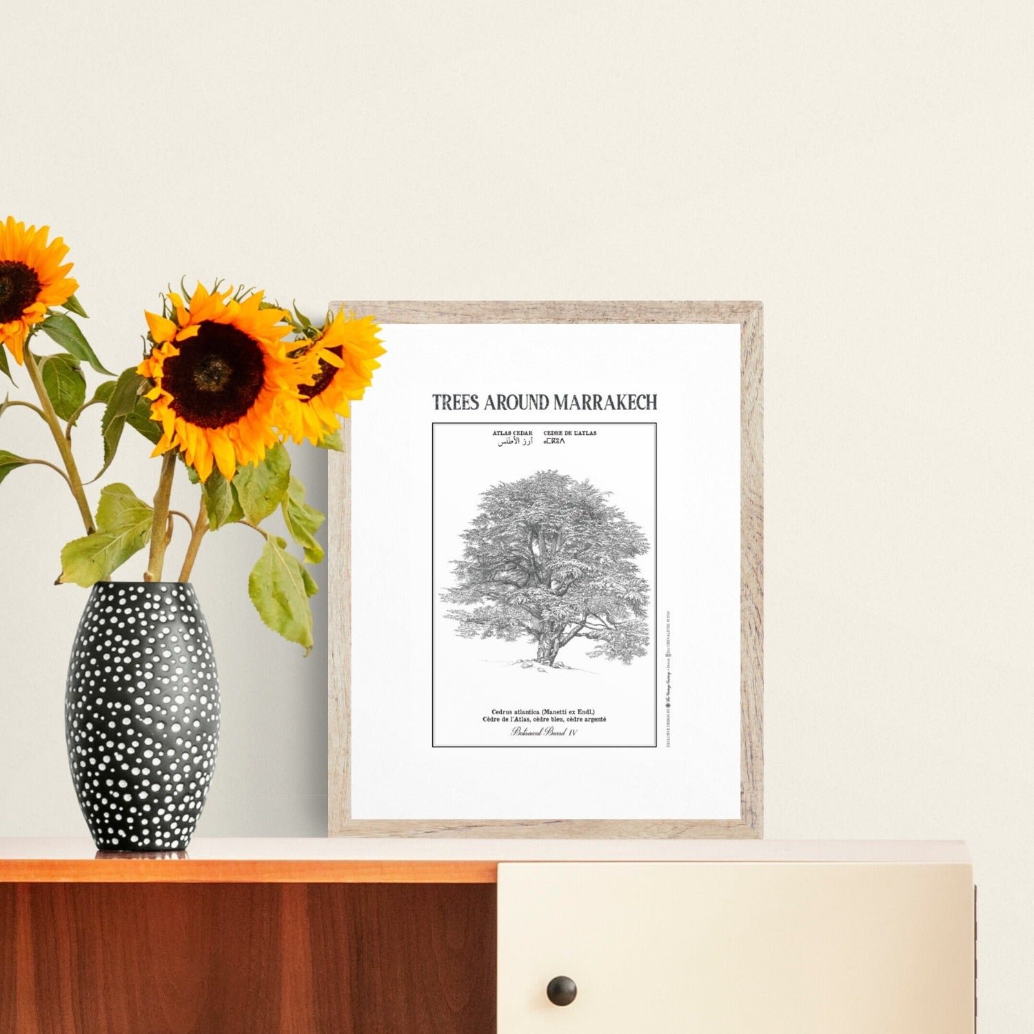 your-one-stop-shop-for-cedre-botanical-sheet-online-sale_0.jpg