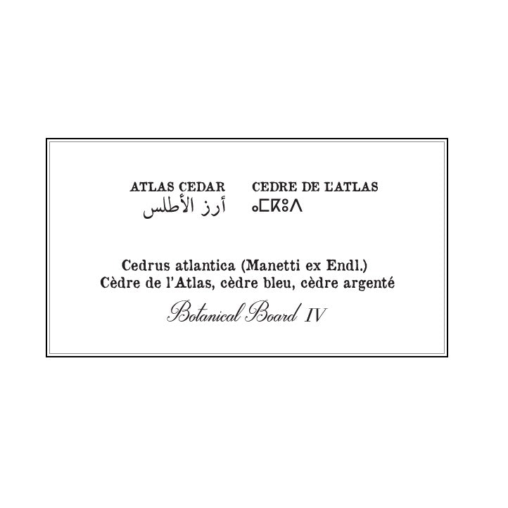 your-one-stop-shop-for-cedre-botanical-sheet-online-sale_3.jpg