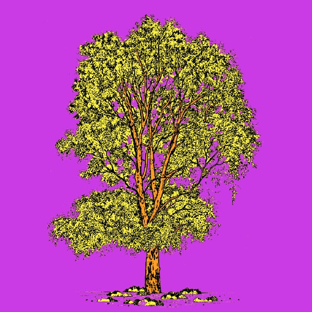 the-official-site-for-authentic-eucalyptus-botanical-sheet-pop-version-hot-on-sale_2.jpg