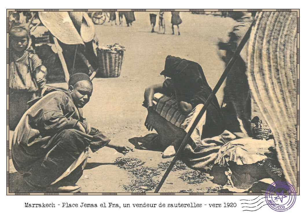 we-offer-the-best-prices-on-the-best-of-old-view-of-marrakech-place-jemaa-el-fna-a-seller-of-grasshoppers-circa-1920-online-now_1.jpg