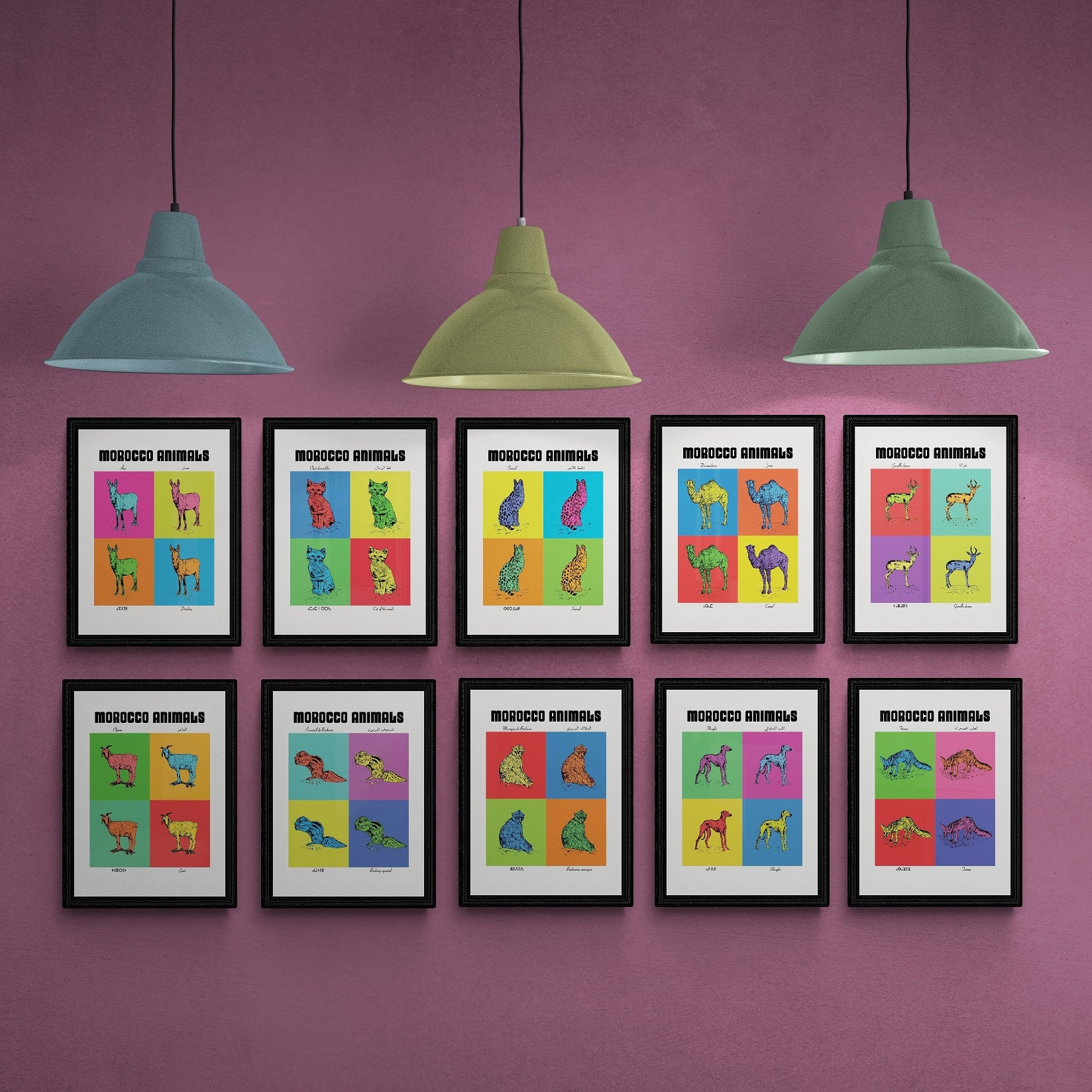 lets-buy-collection-integrale-des-10-affiches-des-planches-zoologiques-version-pop-en-format-a4-on-sale_0.jpg